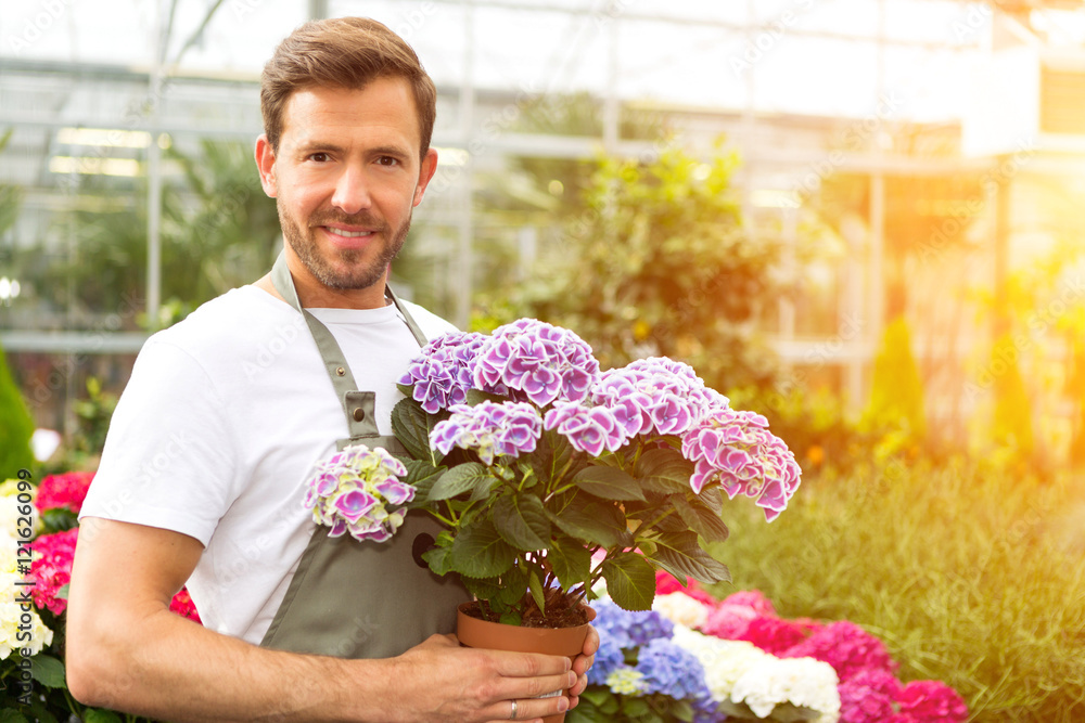 Young attractive man working at the plants nursery