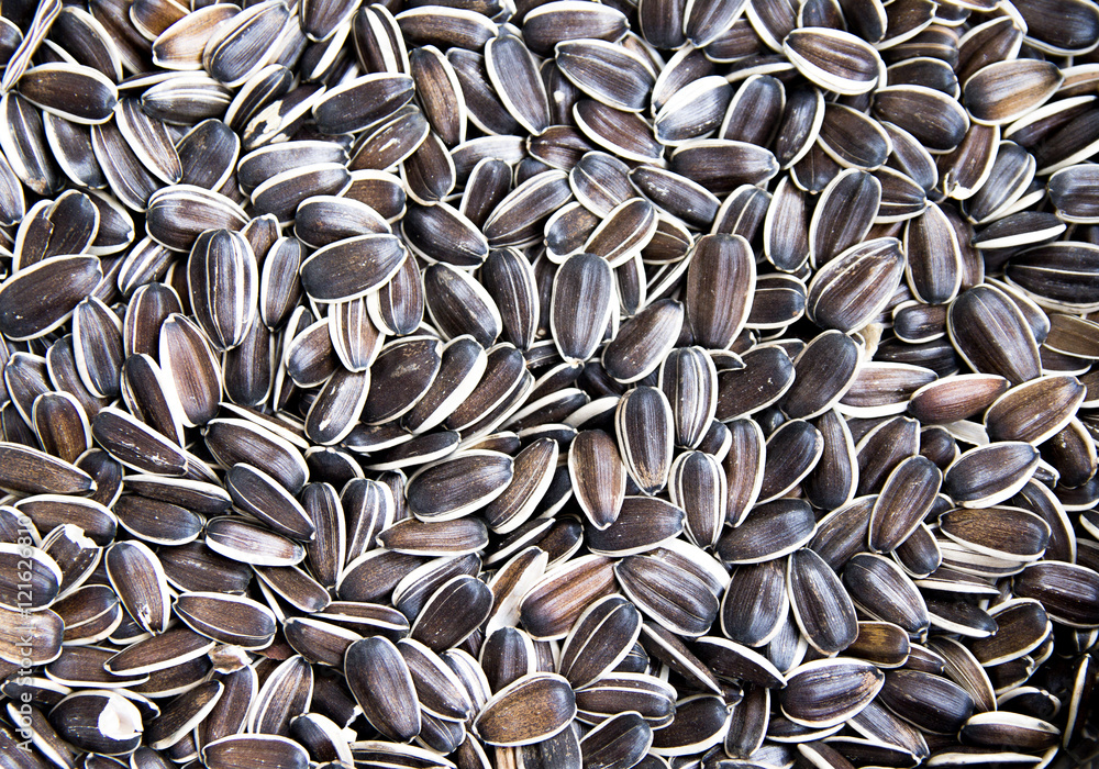 sunflower seeds a lot as background sunflower seeds a lot as background