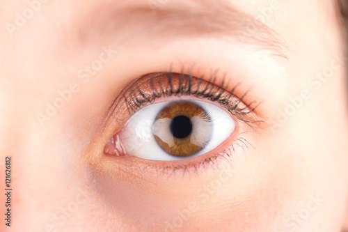 Detailed close up of an brown eye in high definition