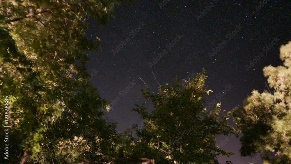 Timelapse Stars Moving Through the Trees at Night Timelapse Stars Moving Through the Trees at Night