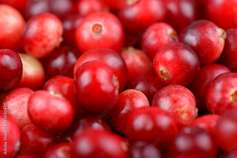 Red ripe cranberries background. Cowberry foxberry berries Red ripe cranberries background. Cowberry foxberry berries