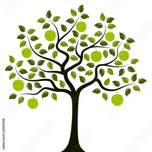 apple tree