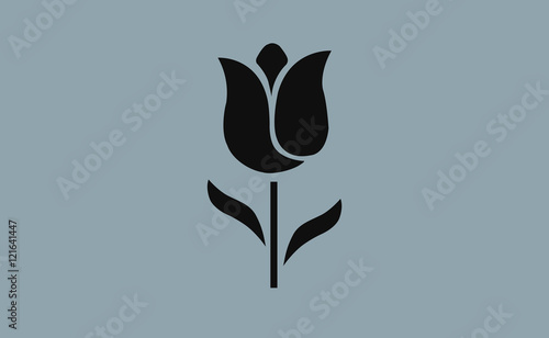 Vector tulip icon on flat background