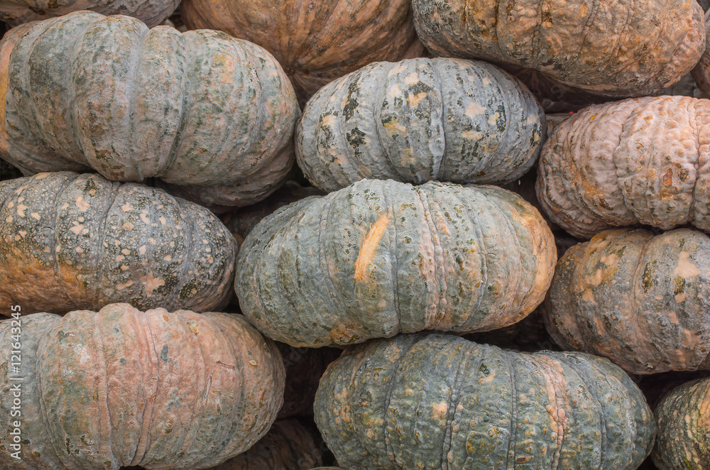 Close up horizontal photo of pile of pumpkins placed for sale. Close up horizontal photo of pile of pumpkins placed for sale.