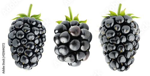 Three isolated blackberries photo