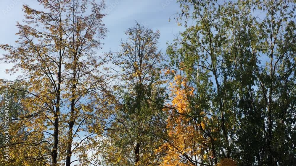 Осенние пейзажи провинциального города Осенние пейзажи провинциального города
