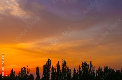 landscape with dramatic light