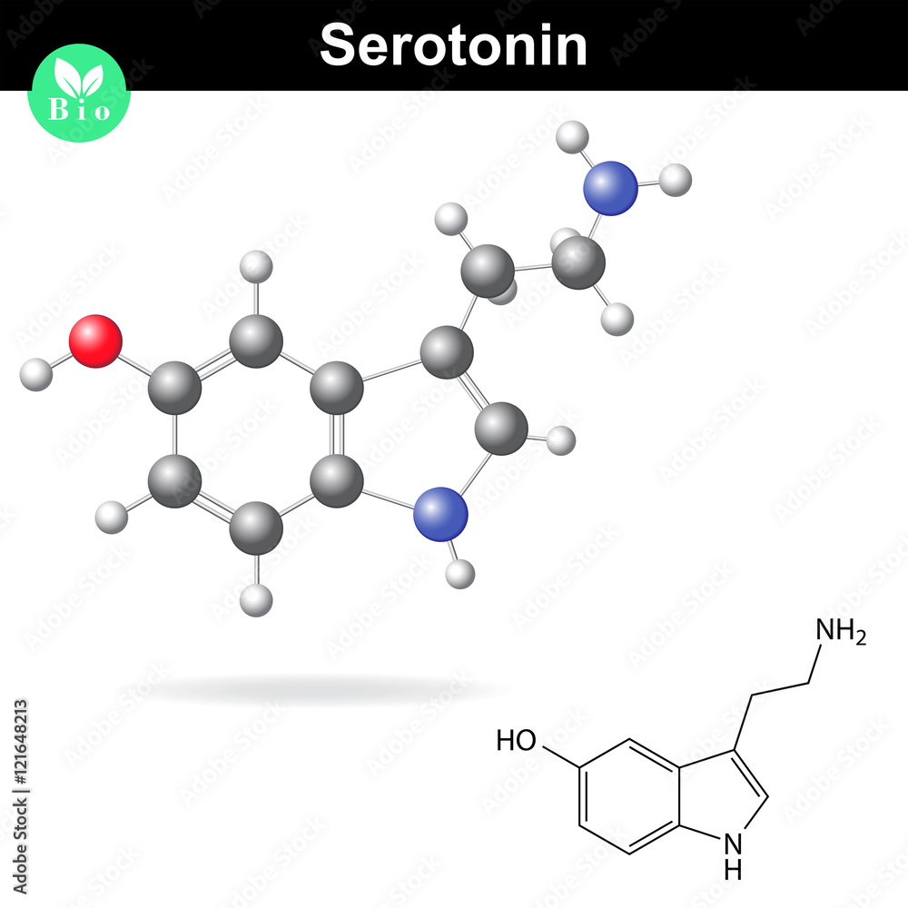 Serotonin molecular structure