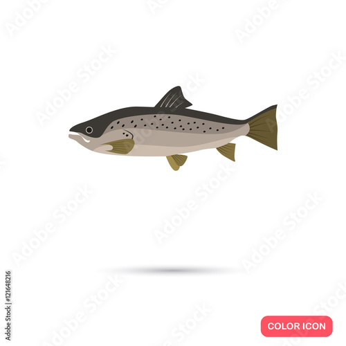 Salmon color flat icon