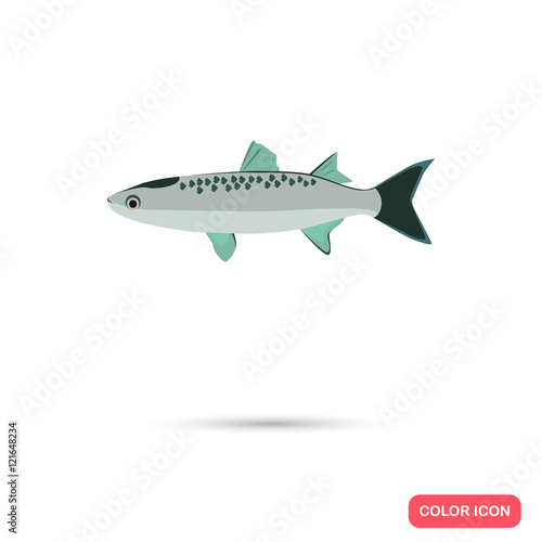 Mullet fish color flat icon