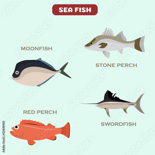 Set of color flat sea fish color icons. Flat design