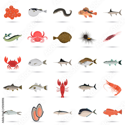 Set of color flat sea food and fish color icons. Flat design photo