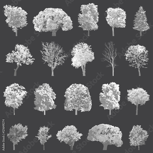 Trees collection. High detailed vector illustrations photo