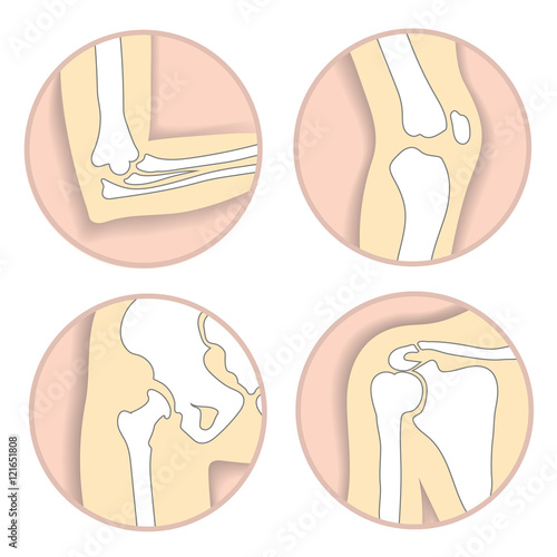 Set of human joints, elbow, knee joint, hip and shoulder joint, skeletal bone structure. Emblem anatomy and orthopedic sign for medical diagnostic center, vector illustration.