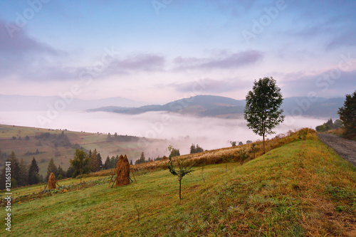Autumn September foggy morning in mountains © NemanTraveler