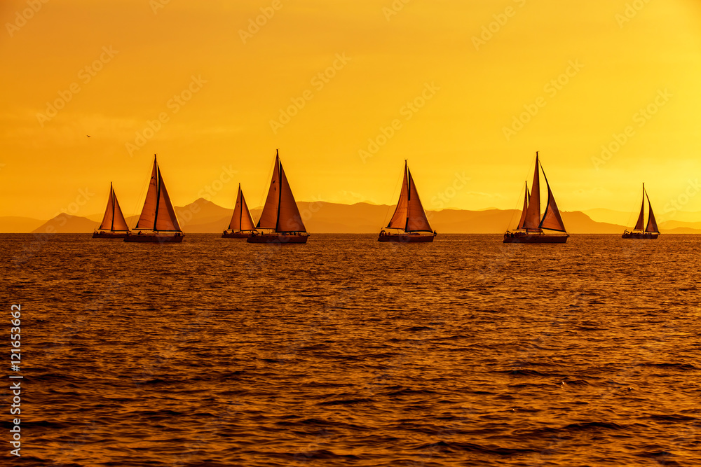 Regaty jachtów na morzu podczas zachodu słońca  - obrazy, fototapety, plakaty 