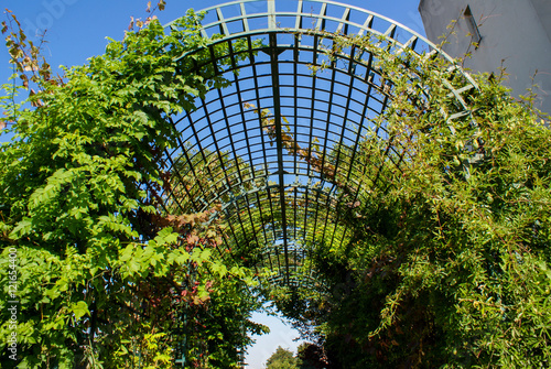 Promenade Plantée, Paris, France photo