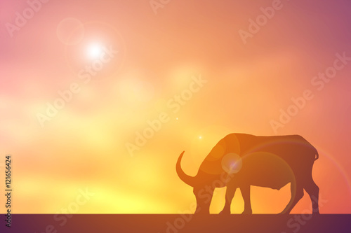 Silhouette buffalo on sunset