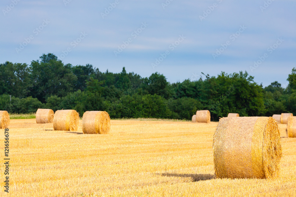 Italian countryside panorama. Round bales on wheat field