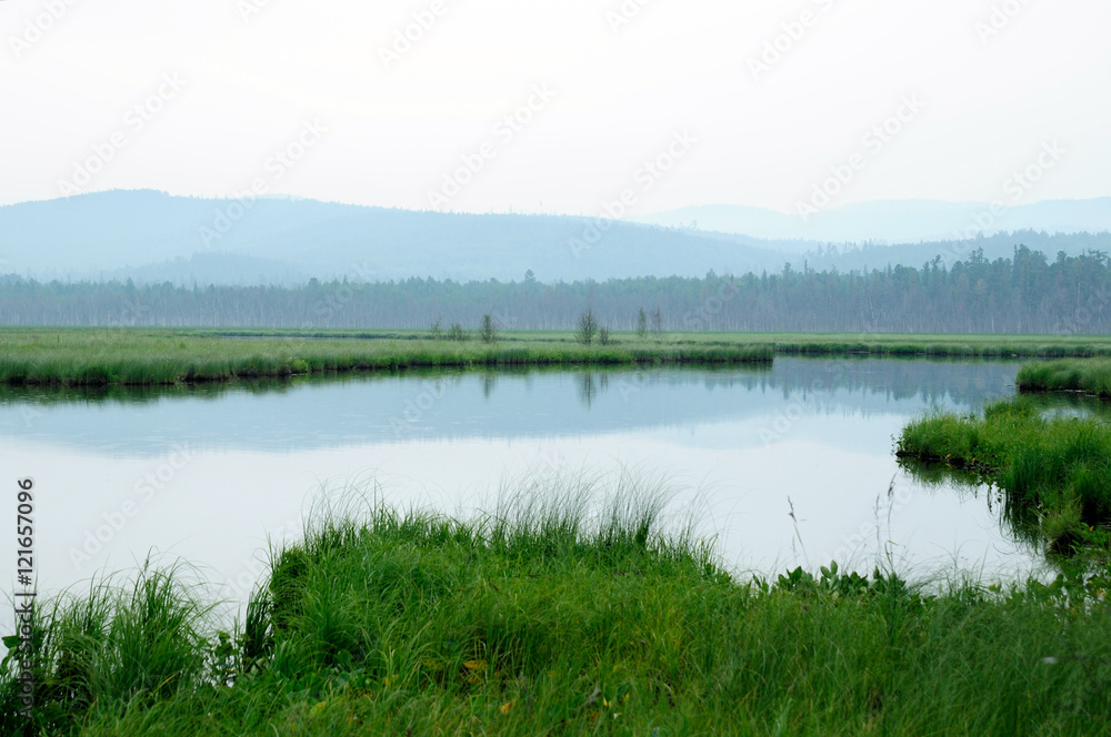 misty morning on the lake. early summer morning. drizzling rain. forest on the lake. photo toned.soft focus