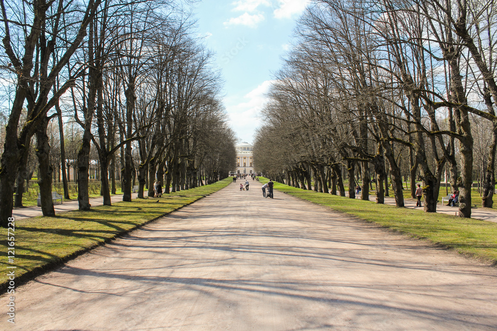 The central road in the park.