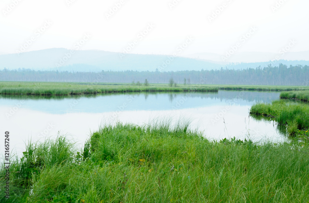 Obraz premium misty morning on the lake. early summer morning. drizzling rain. forest on the lake. photo toned.soft focus