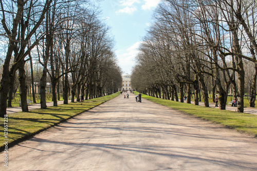 The central road in the park. © German S