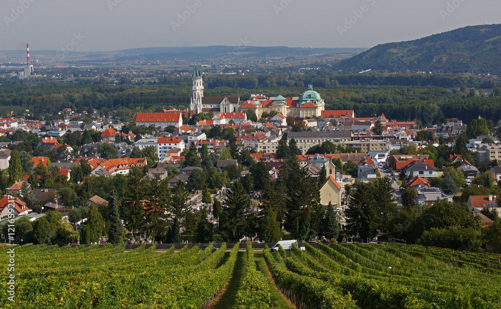 Blick durch die Weingärten auf das Stift Klosterneuburg