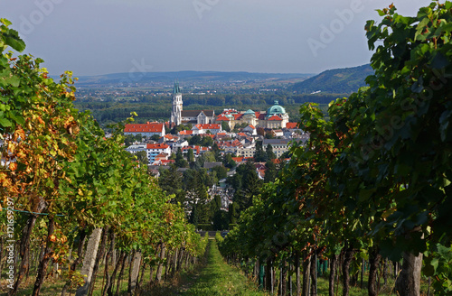 Blick durch die Weingärten auf das Stift Klosterneuburg