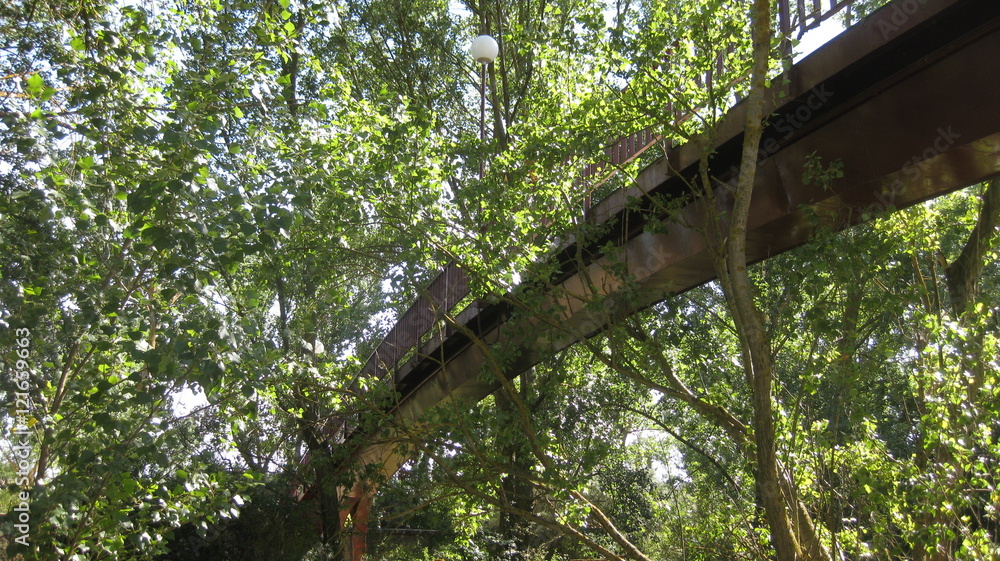 Fototapeta premium Puentes