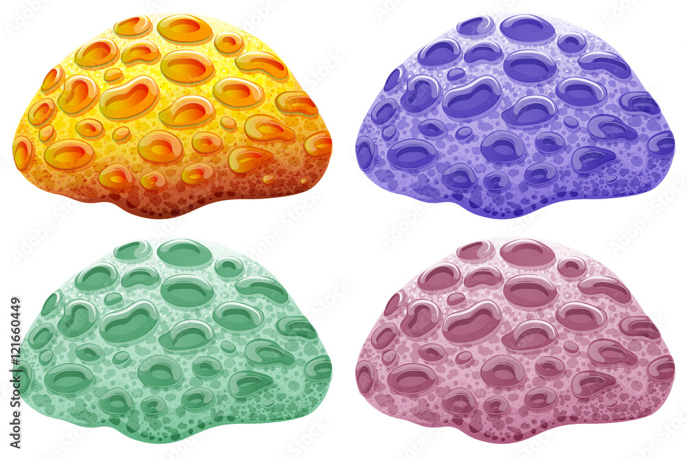 Sponge in four different colors Sponge in four different colors