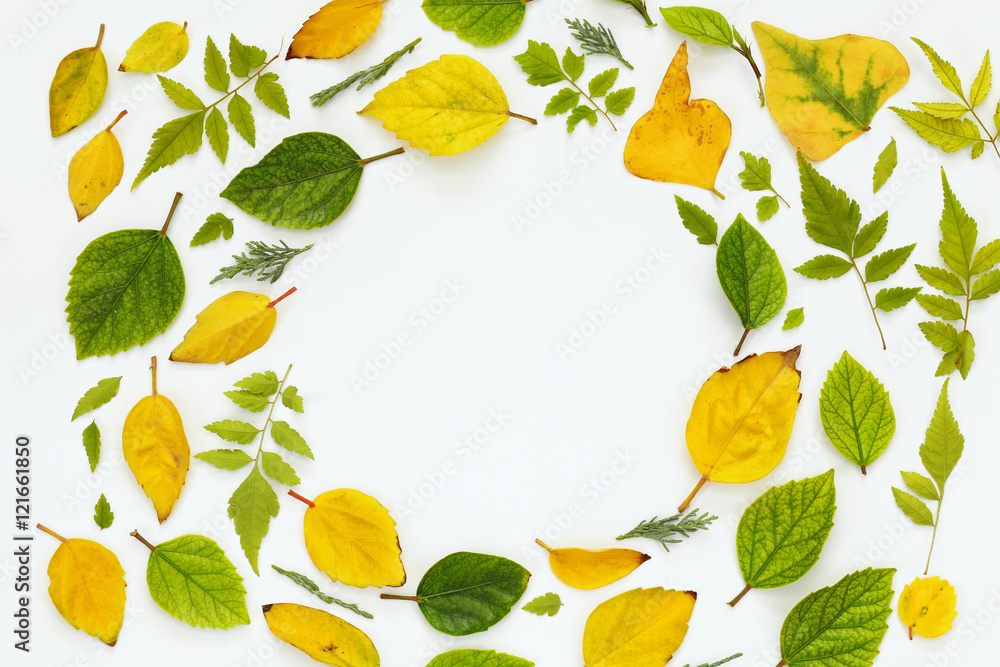 Top view of beautiful autumn leaves on white background Top view of beautiful autumn leaves on white background