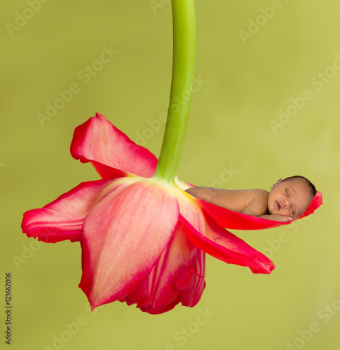 Sleeping baby in red flower cradle photo