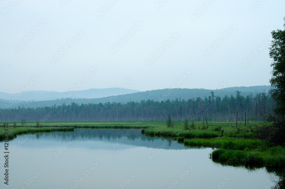 misty morning on the lake. early summer morning. drizzling rain. forest on the lake. photo toned.soft focus