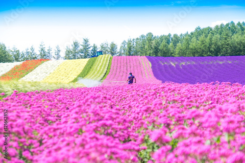 Colorful flower garden and the gardener with blurred in the foreground flowers