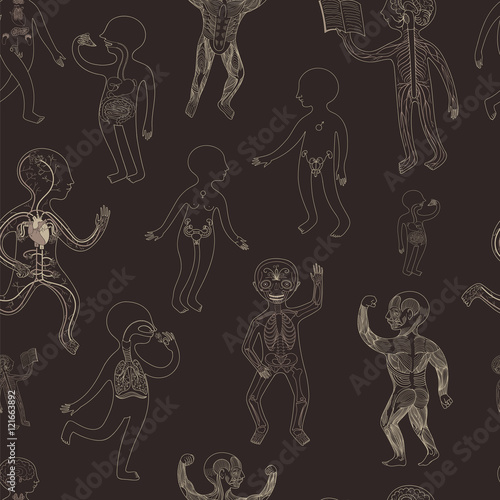 Vector seamless pattern with contour illustration of human anatomy