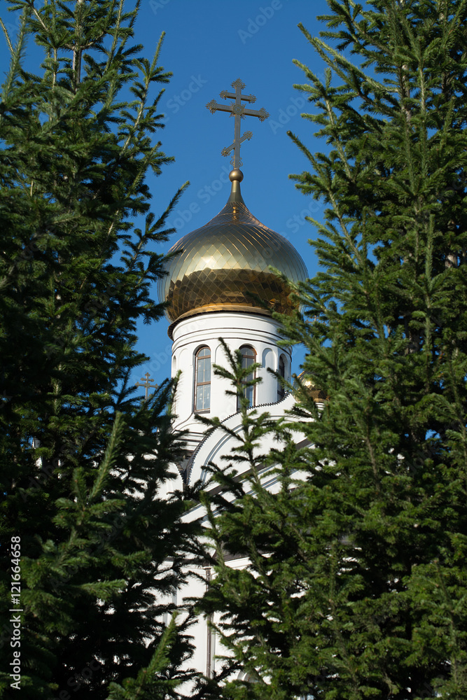 Church Of The Holy Trinity. The Orthodox Church