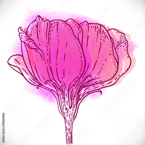 Vintage hand-drawing background with flowers.