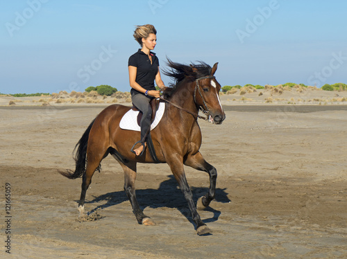 horse woman on the beach