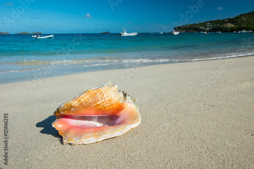 Shell to the beach, Saint Barthelemy