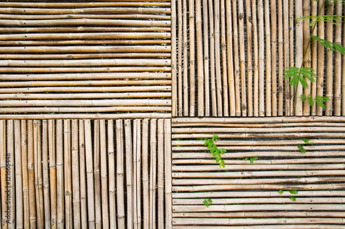 bamboo wall texture with vines background