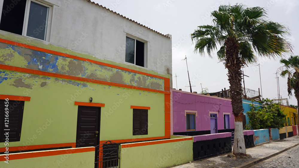 Fototapeta premium palmeira village
