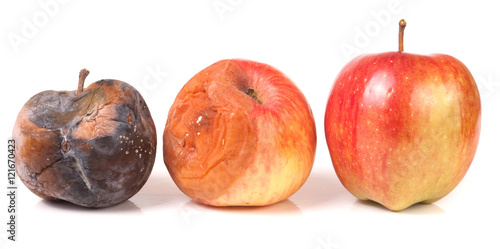 two rotten and one good apple isolated on white background