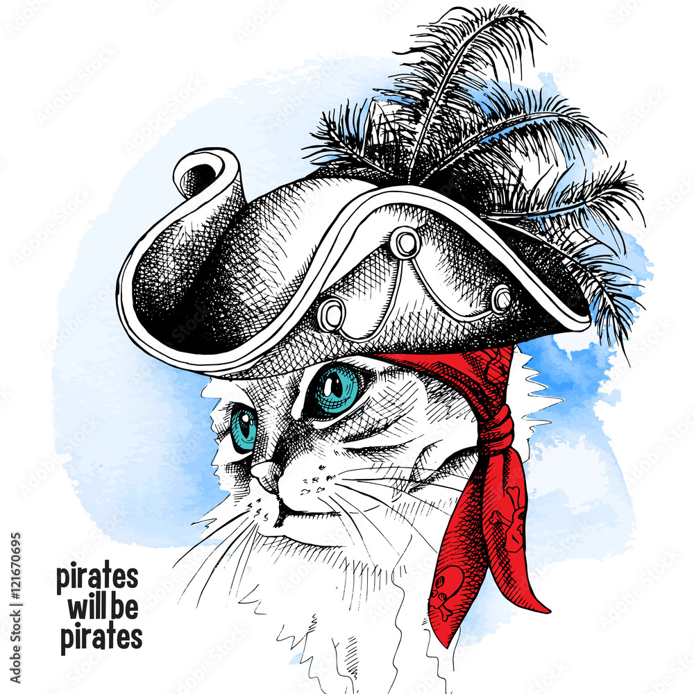 Image cat portrait in a pirate hat and bandana on blue background. Vector  illustration. Stock Vector | Adobe Stock