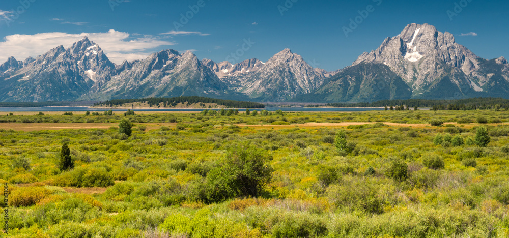 custom made wallpaper toronto digitalGrand Teton National Park, Wyoming
