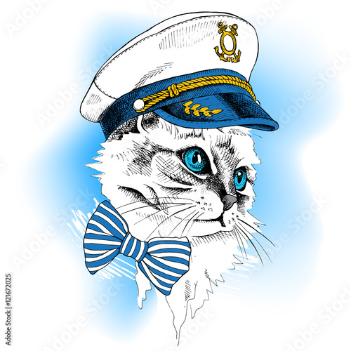 Portrait cat in a sailor's cap and tie on blue background. Vector illustration.