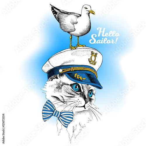 Portrait of cat wearing a sailors hat and seagull on blue background. Vector illustration.