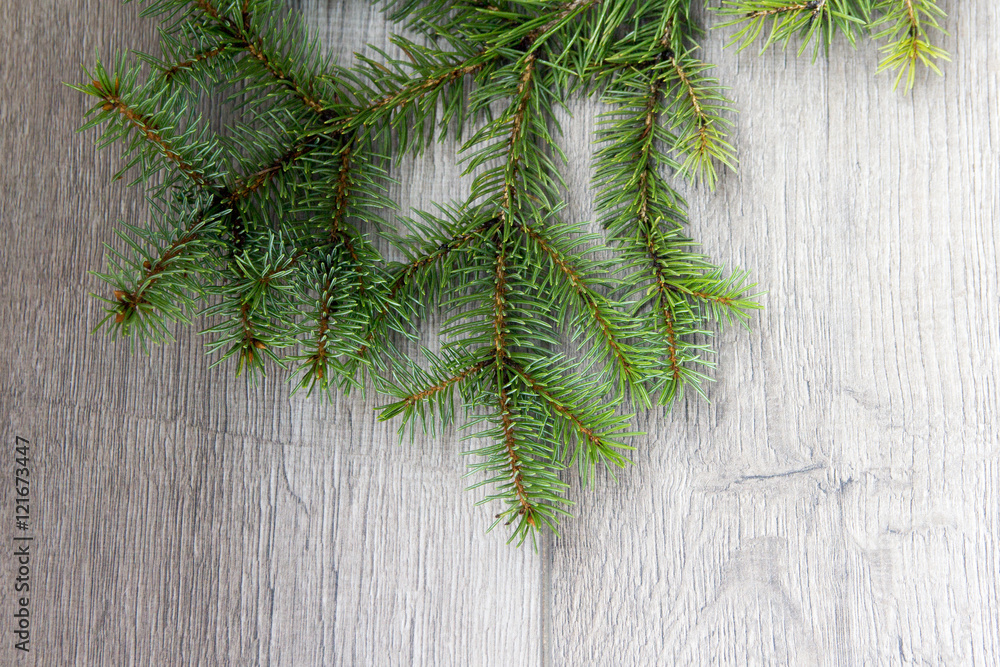 fir branch on wood fir branch on wood