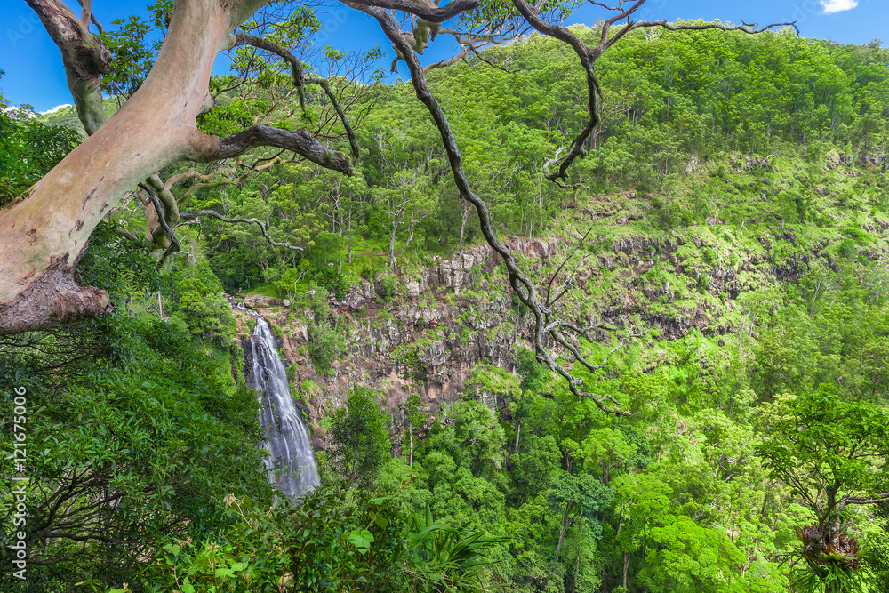 Fototapeta premium Moran's falls lookout in Lamington national park, Queensland, Australia