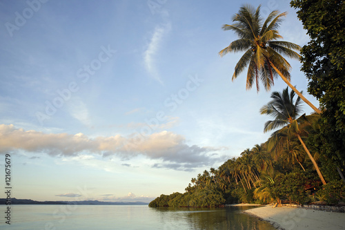 Palm Trees and Beach at Raja Ampat Dive Lodge on Mansuar Island. Raja Ampat, Indonesia